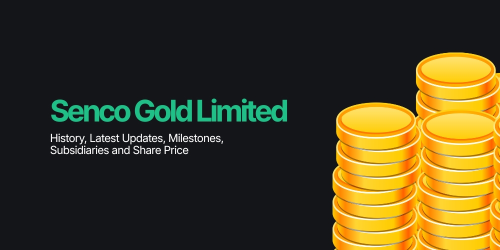 Senco Gold Limited: History, Latest Updates, Milestones, Subsidiaries and Share Price